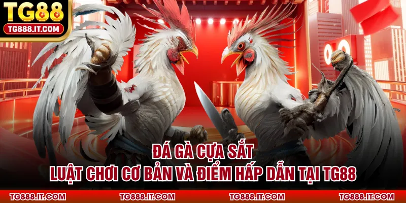 Đá Gà Cựa Sắt | Luật Chơi Cơ Bản và Điểm Hấp Dẫn Tại TG88